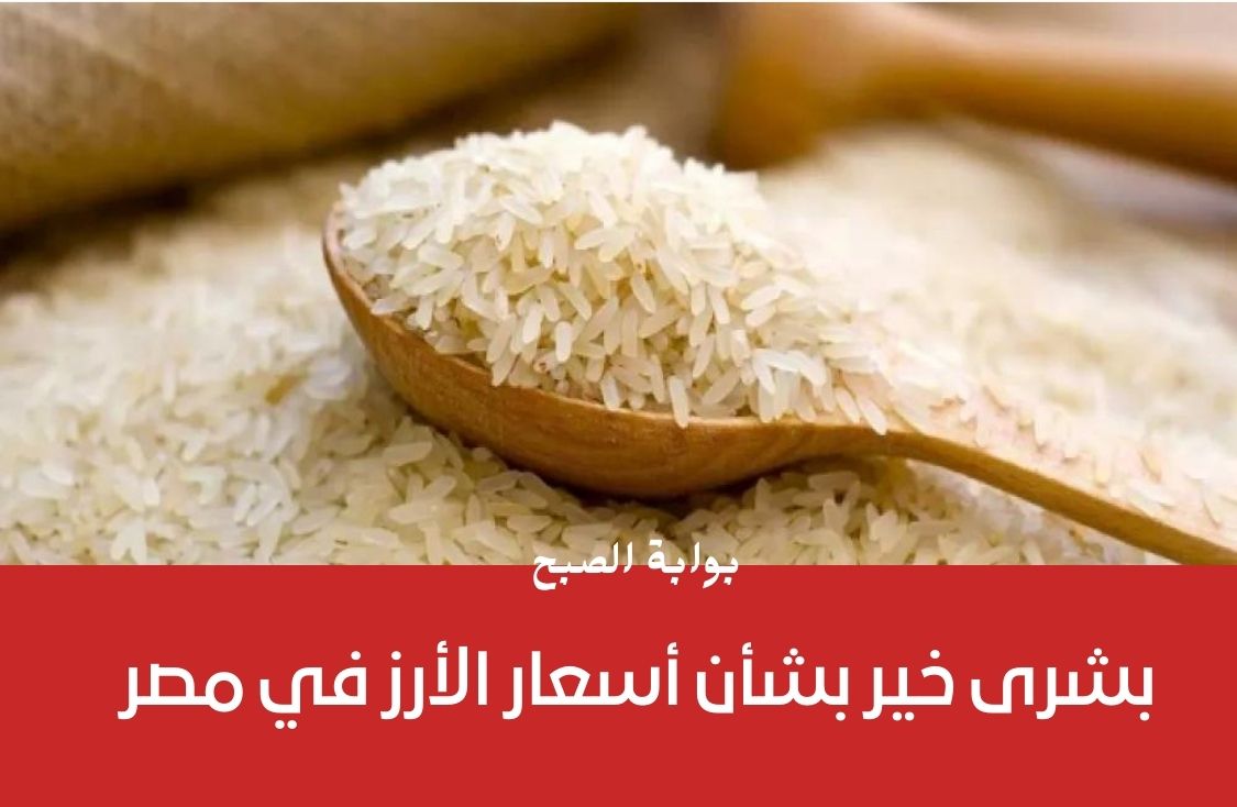 بشرى خير بشأن أسعار الأرز في مصر وحقيقة انخفاض سعر الكيلو في المحلات التجارية