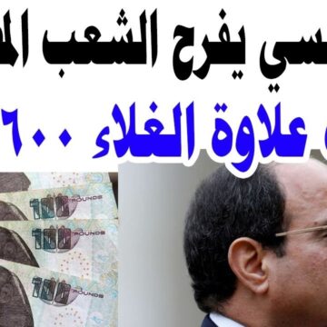 الرئيس السيسي يفرح الشعب ويضاعف علاوة غلاء المعيشة