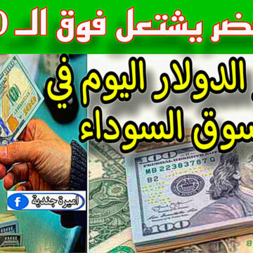 “بكام دلوقتي!!” سعر الدولار مقابل الجنيه المصري في البنوك اليوم الاثنين 20 نوفمبر 2023