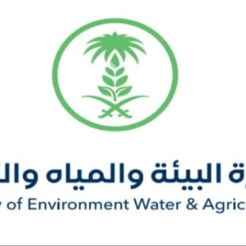 وزارة البيئة والمياة والزراعة توضح شروط إصدار رخصة زراعة القمح 1445