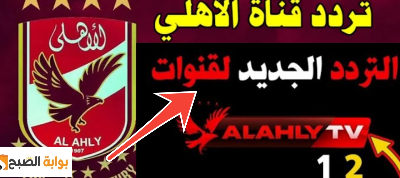 تردد قناة الأهلي الجديد 2024 على النايل سات بجودة Al Ahly TV HD