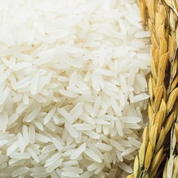 مسجلا تراجع اليوم.. سعر أرز الشعير في مصر الأربعاء 20 ديسمبر 2023 وهذا السعر الجديد