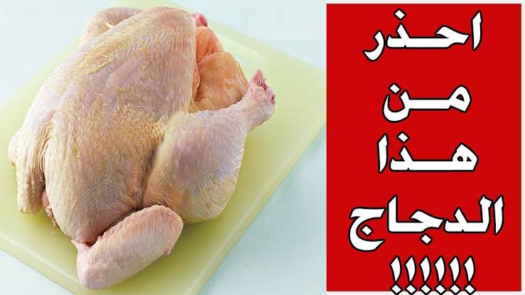 أماكن بالدجاج ممنوع أكلها نهائيا تسبب العديد من الأمراض