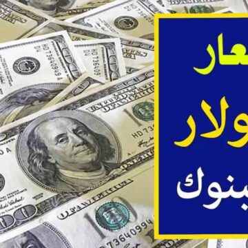 سعر الدولار اليوم الثلاثاء 30/1/2024 في تعاملات جميع البنوك العاملة المصرية