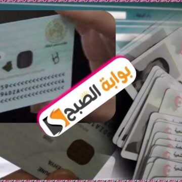 بطاقة التعريف الوطنية البيومترية الإلكترونية في الجزائر: إجراءات طلبها ومتابعتها عبر الإنترنت 2024