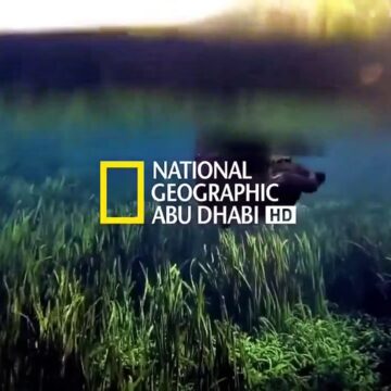 تردد قناة ناشيونال جيوغرافيك على نايل سات لمشاهدة برامج المغامرة والثقافة
