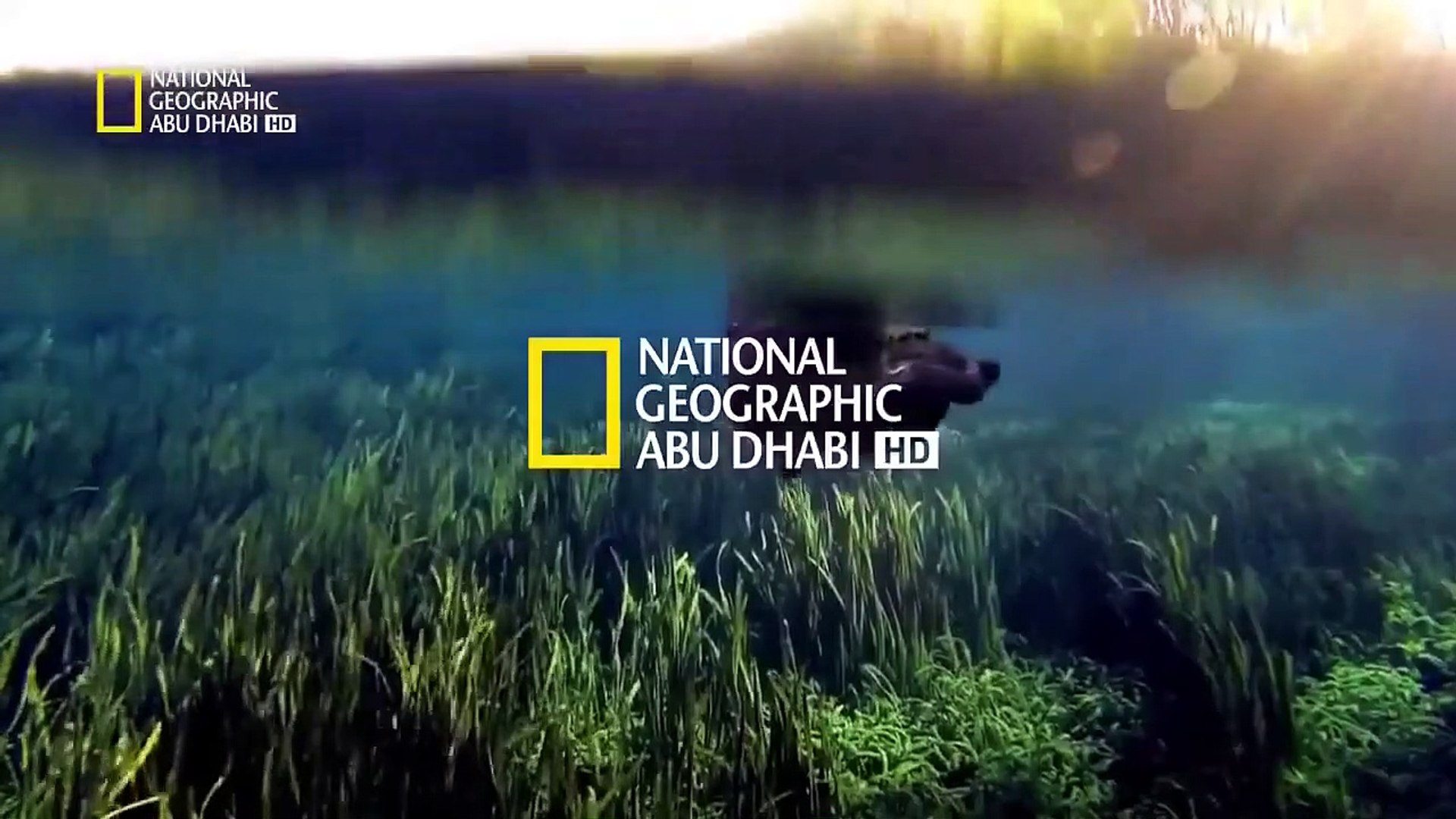 تردد قناة ناشيونال جيوغرافيك على نايل سات لمشاهدة برامج المغامرة والثقافة