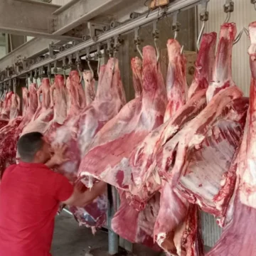 قبل حلول شهر رمضان.. أسعار اللحوم والأسماك في الأسواق اليوم الجمعة 23 فبراير 2024
