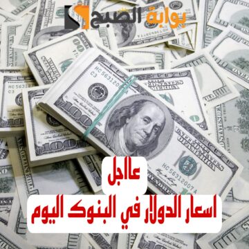 الدولار بكام النهاردة… تعرف على سعر الدولار اليوم الثلاثاء 6 فبراير 2024 في مختلف البنوك المصرية!!