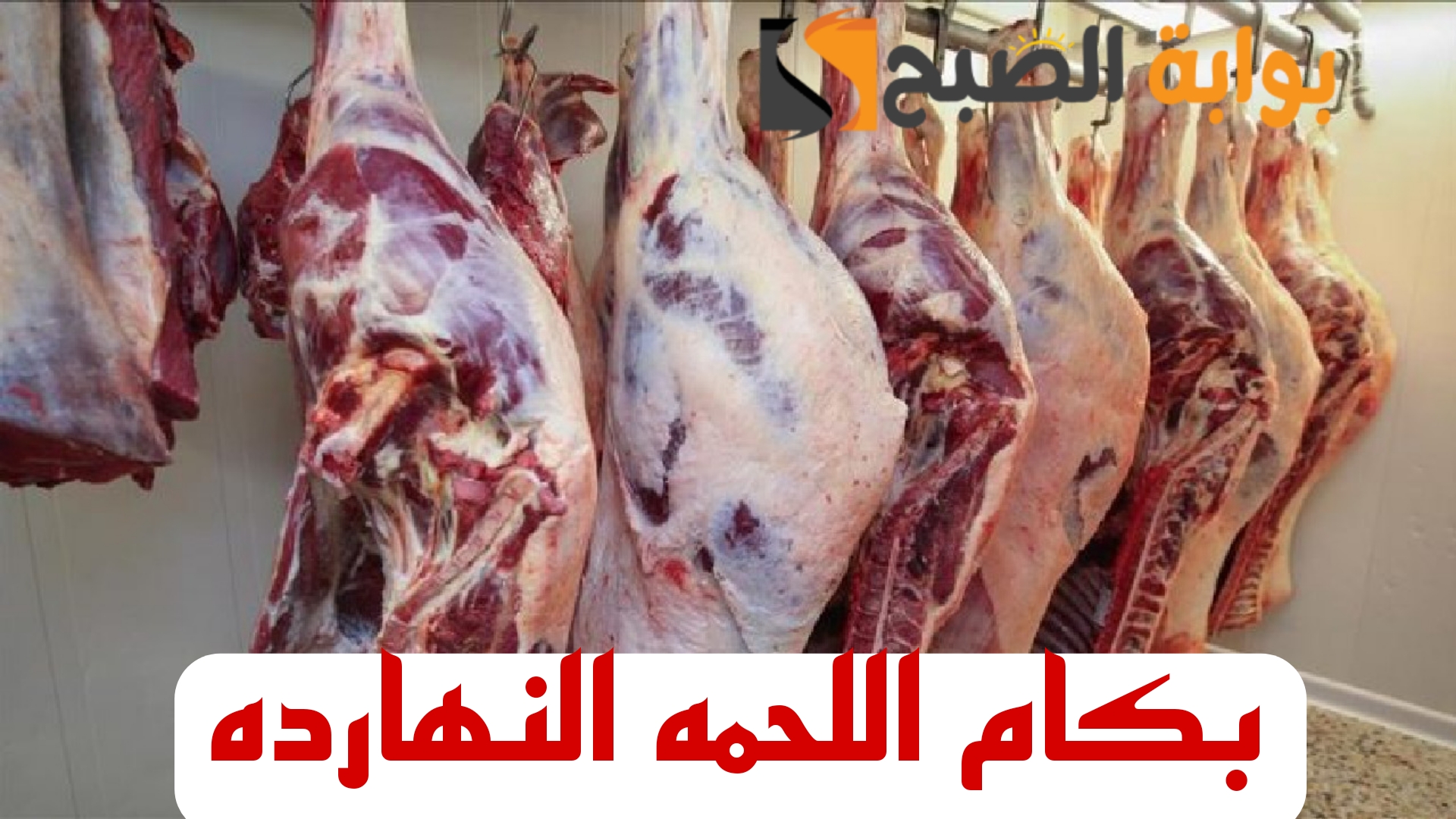 “بكام النهارده اللحمة”.. تعرف على اسعار اللحوم اليوم الثلاثاء 13 فبراير 2024 في المحلات!!