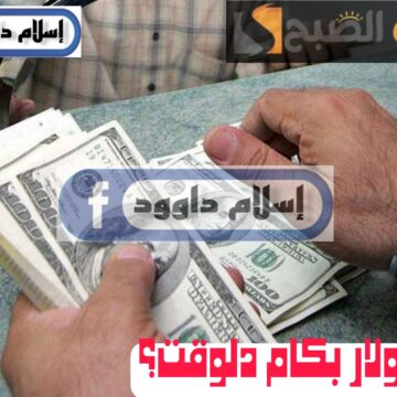 ”الدولار بكام“.. تعرف على أسعار الدولار مقابل الجنيه المصري اليوم الخميس 22 فبراير 2024