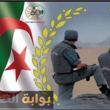 أكثر من 300 وظيفة متاحة قدم الآن في وظائف الجمارك الجزائرية 2024 رابط التقديم وأهم المستندات المطلوبة