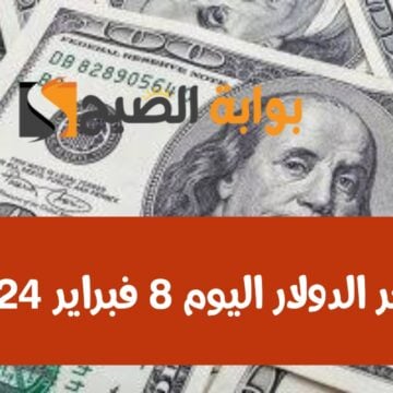 وصل كام النهاردة؟ سعر الدولار اليوم أمام الجنيه الخميس 8 فبراير 2024 في البنك المركزي المصري