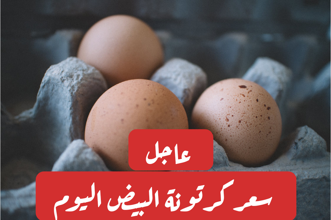 يكام البيضة الحمراء.. سعر كرتونة البيض اليوم الإثنين 12 فبراير 2024 في البورصة المصرية