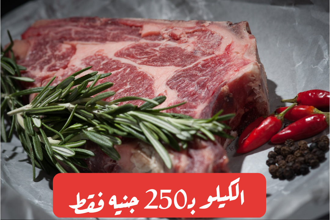 بمناسبة شهر رمضان.. وزارة الزراعة تنشأ منافذ لبيع اللحوم بأسعار مخفضة جداً اليوم 13-2-2024