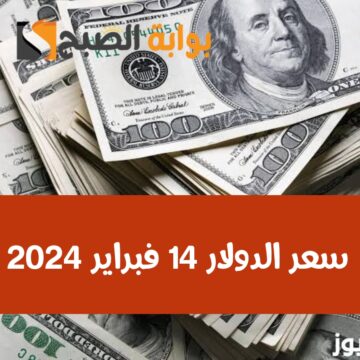اعرف السعر أول بأول.. سعر الدولار مقابل الجنيه المصري اليوم الأربعاء 14 فبراير 2024 في البنوك
