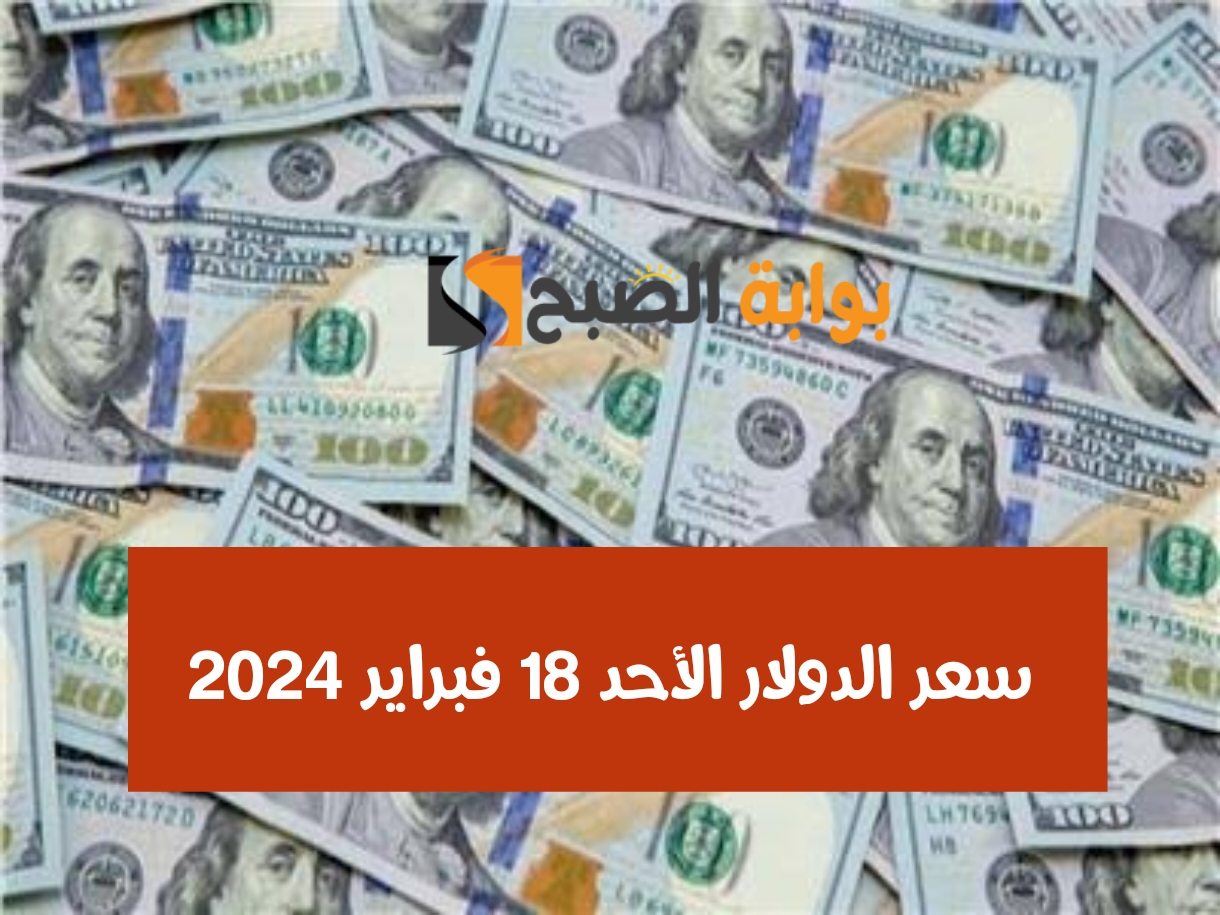 الأخضر بكام.. سعر الدولار مقابل الجنيه المصري اليوم الأحد 18 فبراير 2024 في البنـوك
