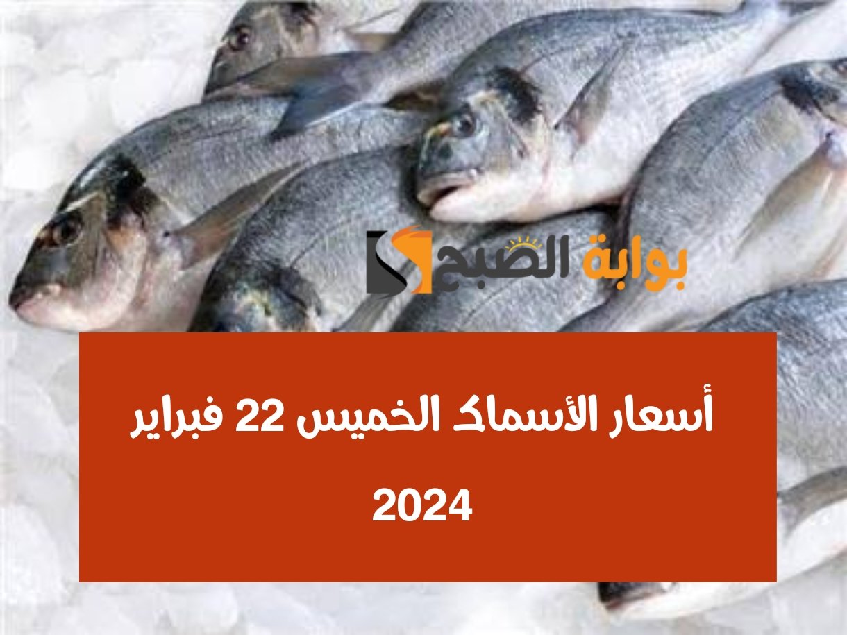 أسعار السمك الخميس 22 فبراير 2024 