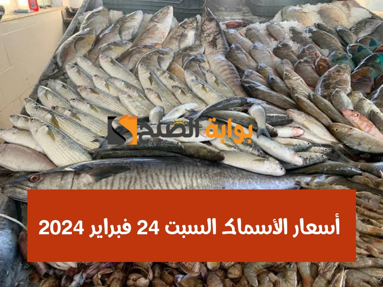 أسعار الأسماك 24 فبراير 2024 