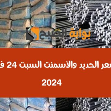 عز والمصريين بكام.. أسعار الحديد والأسمنت السبت 24 فبراير 2024 من أرض المصنع