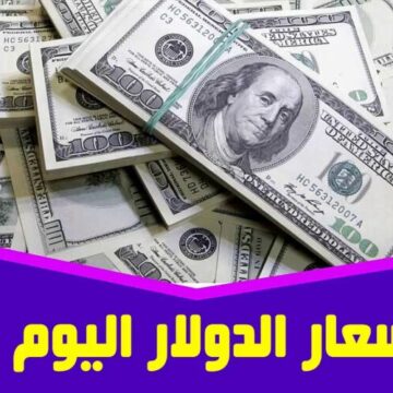 سعر الدولار الآن مقابل الجنيه المصري اليوم السبت 24-2-2024