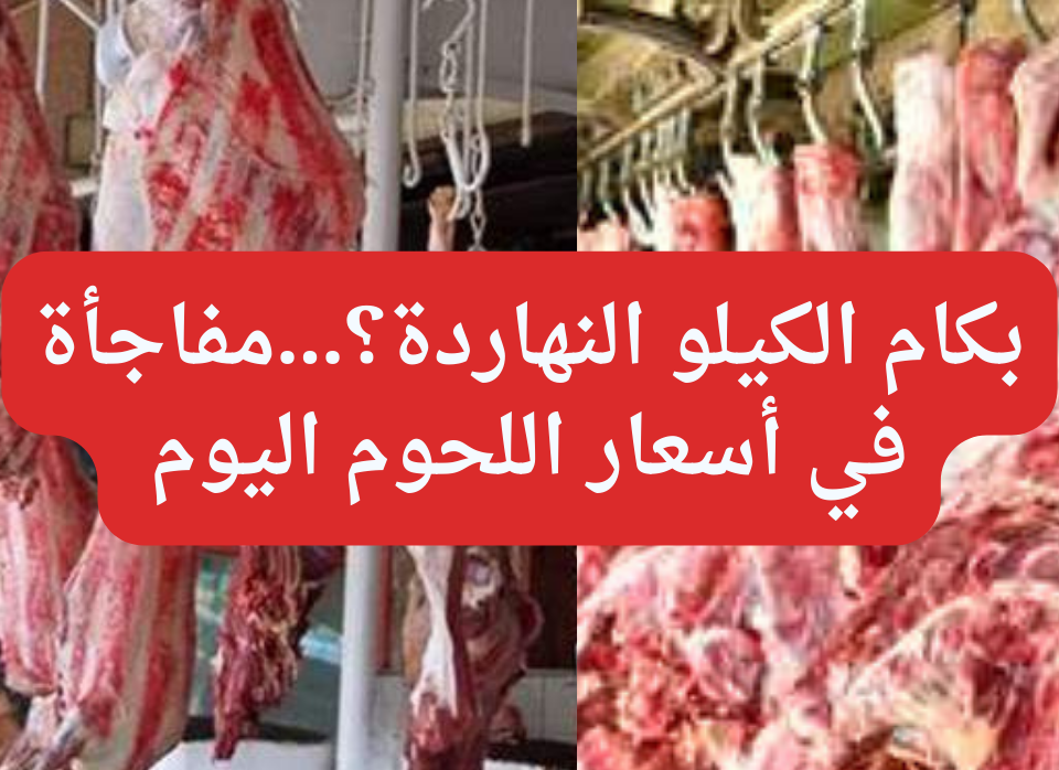بكام الكيلو النهاردة؟…مفاجأة في أسعار اللحوم اليوم الاثنين 12 فبراير 2024 بالأسواق