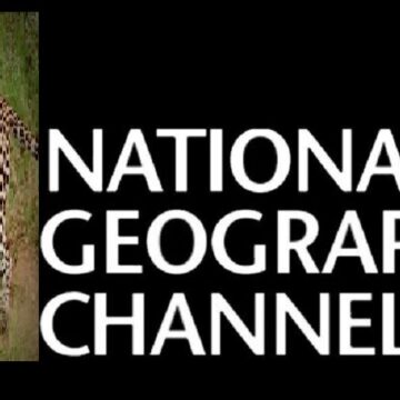 تنزيل National Geographic .. تردد قناة ناشيونال جيوغرافيك المفتوحة الجديد 2024 لعرض الأفلام الوثائقية