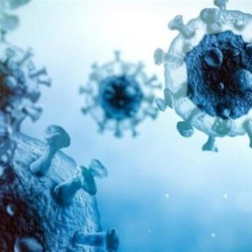 ببيان رسمي.. الحكومة تكشف حقيقة تسرب فيروس تنفسي جديد إلى مصر