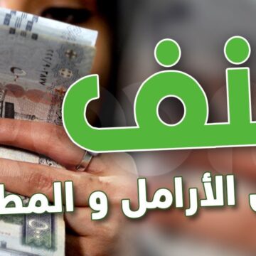 تمويل بنك التنمية 30 ألف ريال سعودي في أقل من 48 ساعة..شروط وخطوات الاستعلام عن تمويل كنف