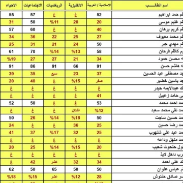 الدور التمهيدي نتائج السادس الاعدادي التمهيدي 2024 عبر موقع نتائجنا ووزارة التربية العراقية بعد ظهورها