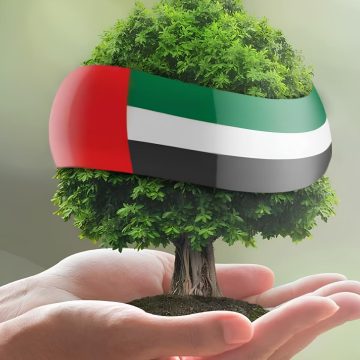 مساعدة مالية في الإمارات للوافدين من الديوان وطريقة التقديم عبر الإنترنت