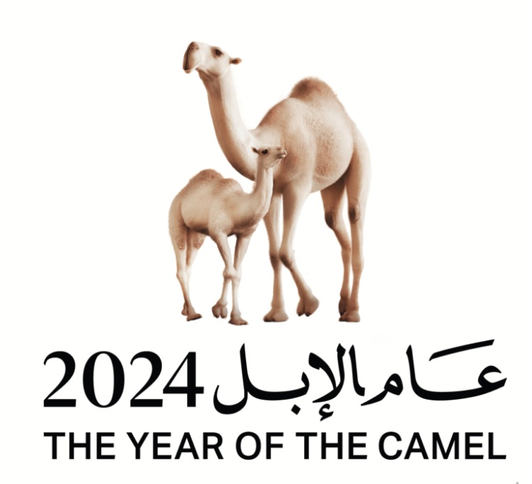 لماذا سمي 2024 بعام الابل ؟ وما هي أهدافه وفقًا لوزارة الثقافة السعودية