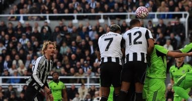 نيوكاسل يونايتد يتقدم على فولهام في مباراة حاسمة بالدوري الإنجليزي