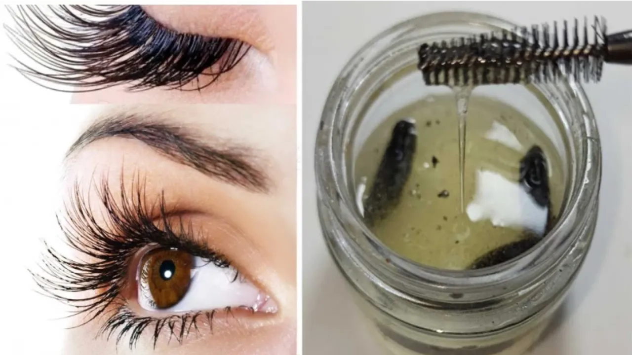 بدون وضع رموش اصطناعية.. طريقة تطويل الرموش وتكثيف الحواجب بمكونات طبيعية وآمنة وبدون اي مواد كيميائية ضارة