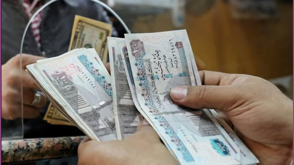 رابط الاستعلام عن تكافل وكرامة بالرقم القومى للمراة المتزوجة 2025.. اعرف التفاصيل