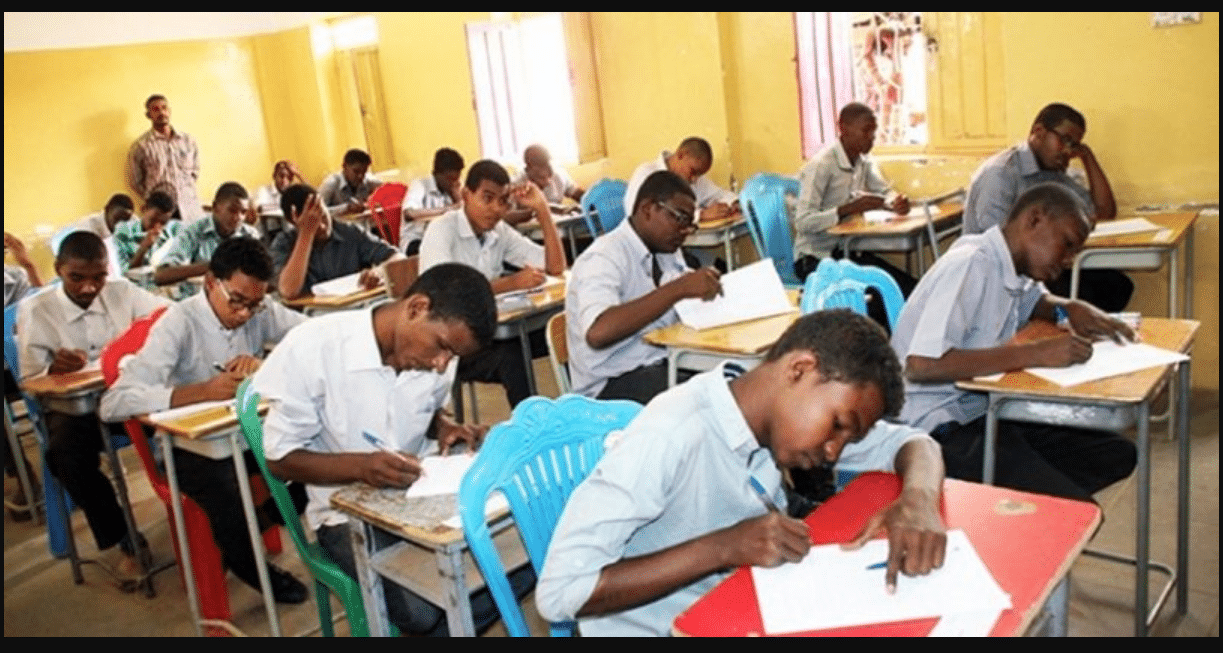 إلكترونياً.. رابط الاستعلام عن نتيجة الشهادة الابتدائية ولاية الجزيرة 2025 عبر موقع result.sudani.sd