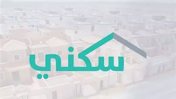 “تابع دعمك السكني”.. موعد نزول الدعم الشهري وكيفية استخدام العداد بسهولة