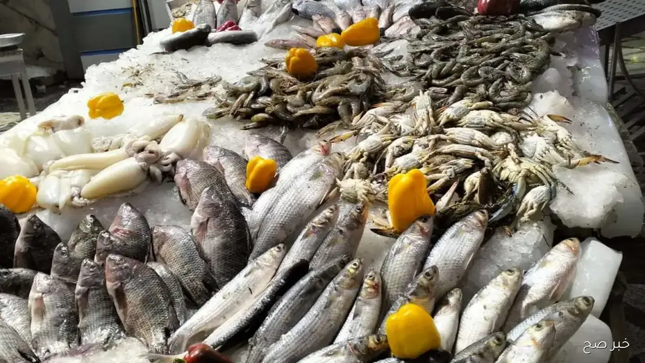أسعار السمك اليوم في سوق العبور 1 ديسمبر 2025.. ارتفاع سعر البلطي واستقرار باقي الأنواع
