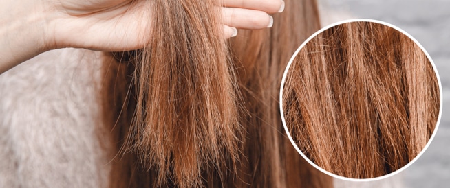 وصفة نمو الشعر التالف من أول مرة.. رجعي شعرك لطبيعته الخلابة الأن